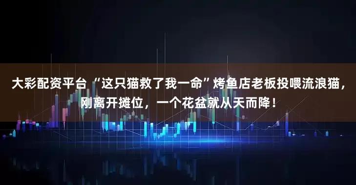 大彩配资平台 “这只猫救了我一命”烤鱼店老板投喂流浪猫，刚离开摊位，一个花盆就从天而降！